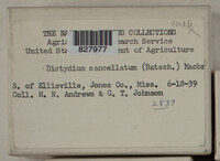 Image Associated With the Occurence